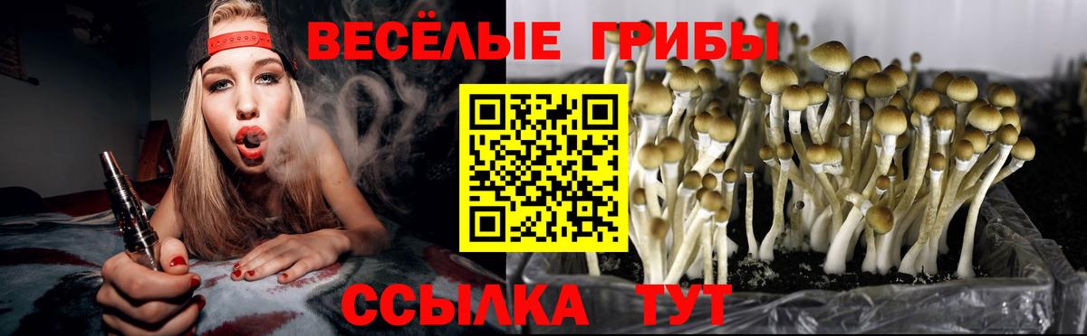 Псилоцибиновые грибы Cubensis  продажа наркотиков  Волгоград  Вход с VPN 